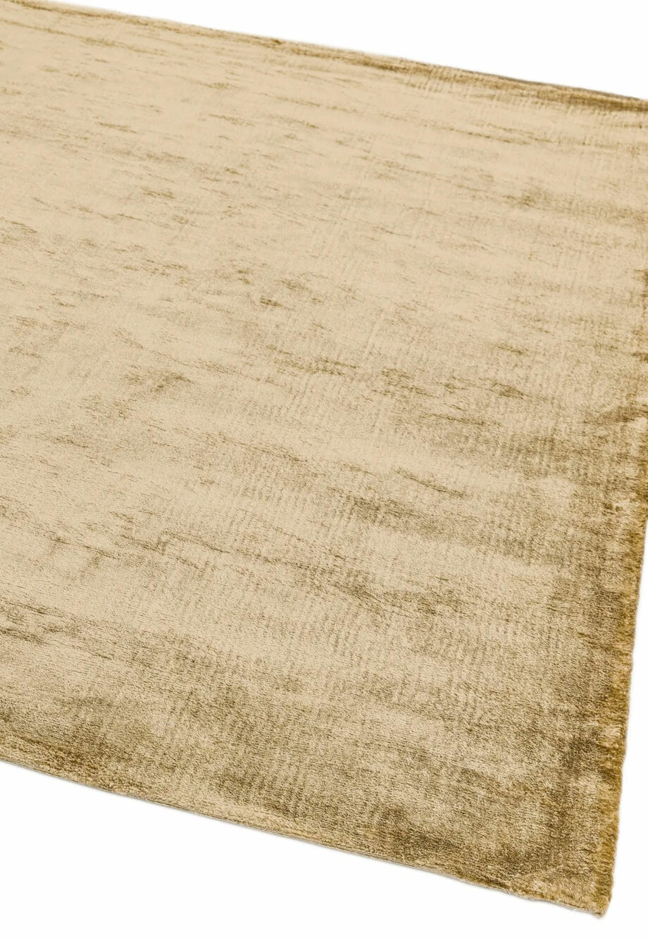 Asiatic Dolce gold 1