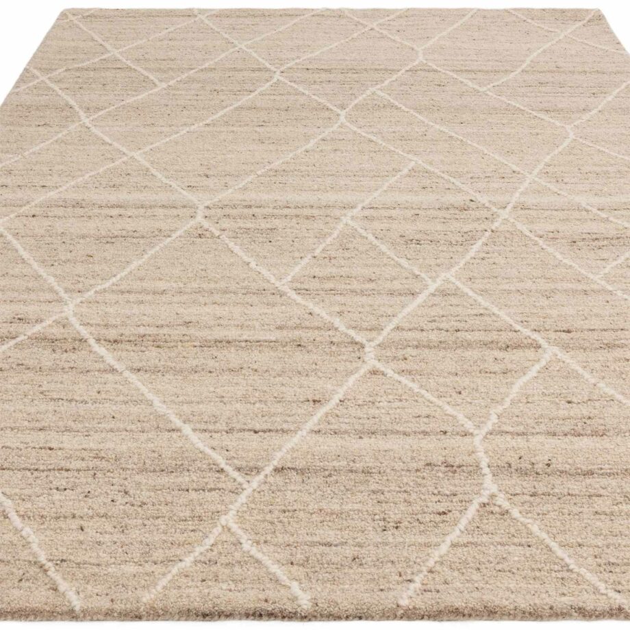 Asiatic Noah natural n 1