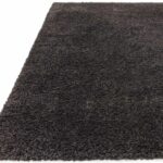 Asiatic Ritchie charcoal 1
