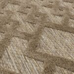 Asiatic Salta SA04brownlinks 4