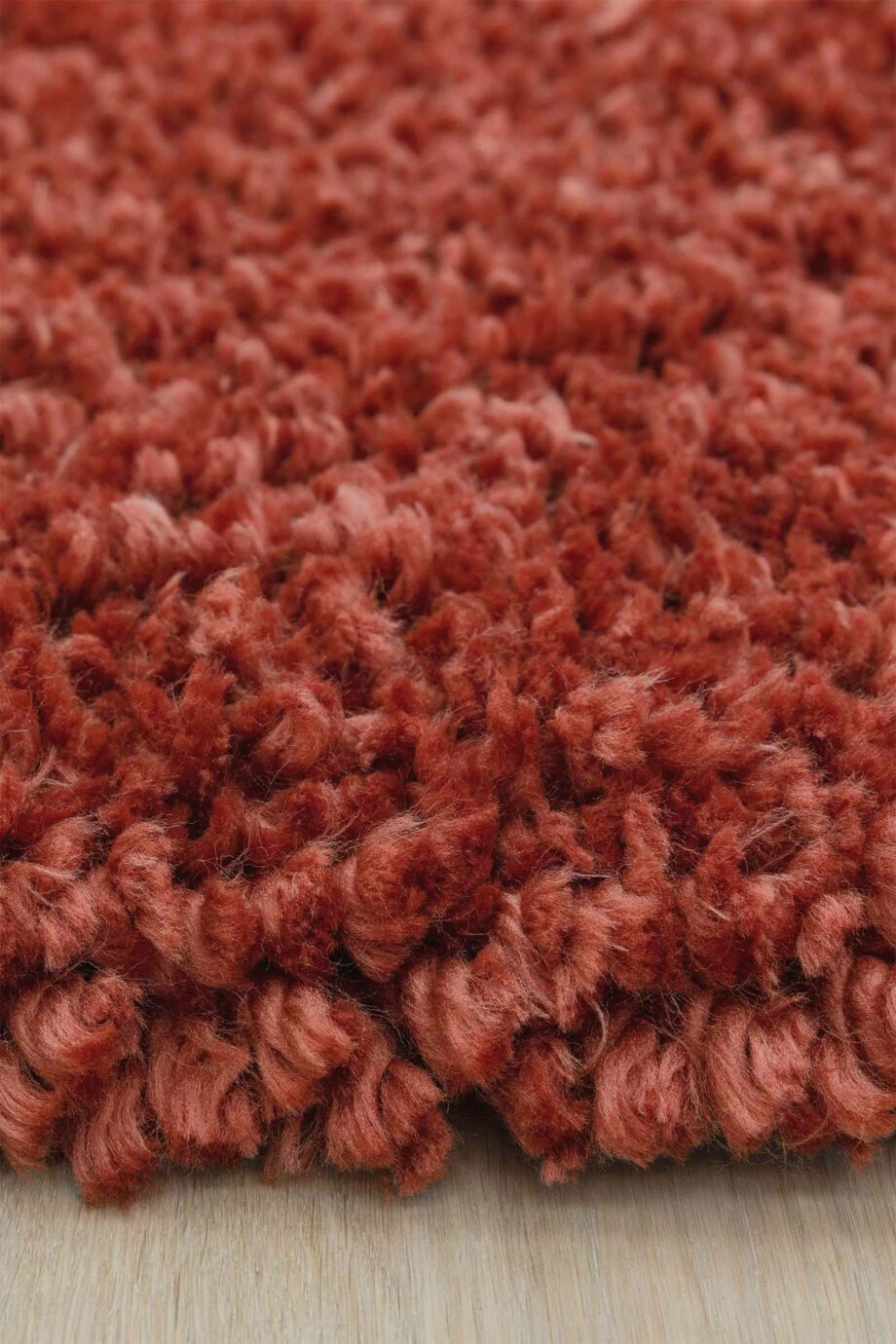 Asiatic Spiral coral 4